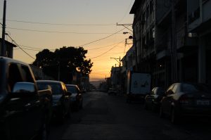 DSC_0114